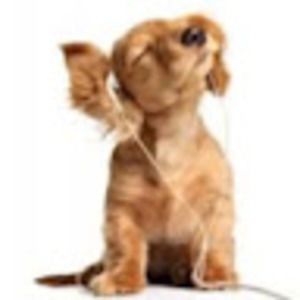 Meet your Posher, Mallory